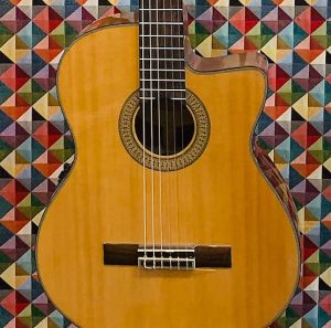 Washburn C64SCE Classical Electro-classical 2010s Natural