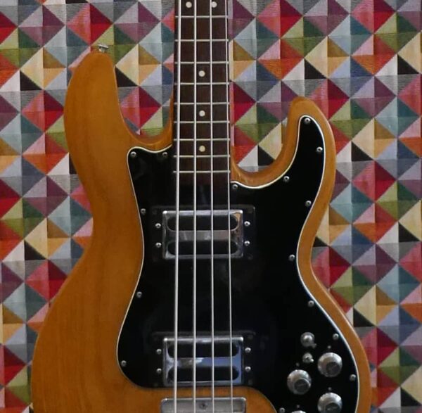 Peavey T40