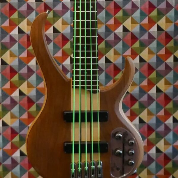 Ibanez BTB 5 string