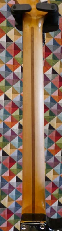 Nick Tucker Custom Build - Relic Burst - Image 6