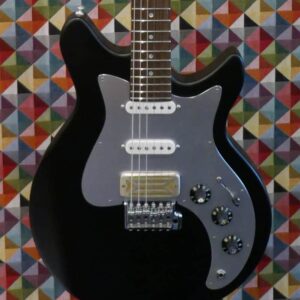 Eastman Fuller Tone DC '62 - Moss Black