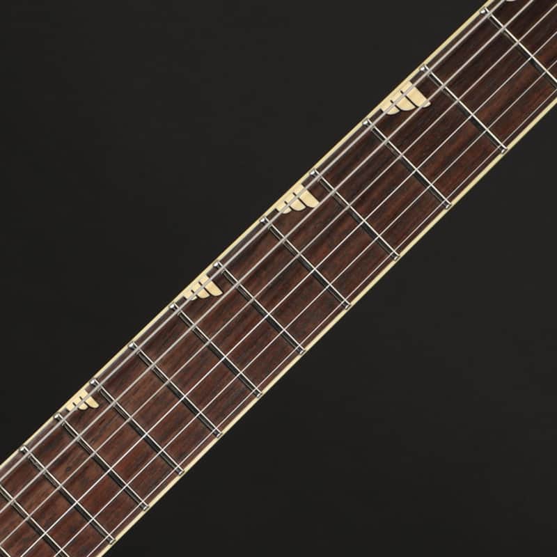 Duesenberg Paloma 2026 - Black - Image 3
