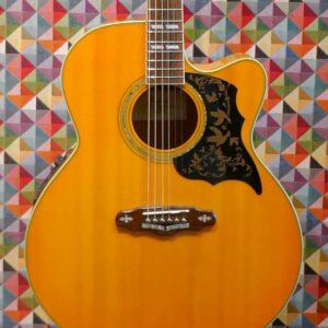 Peerless PJ 65 CE electro-acoustic