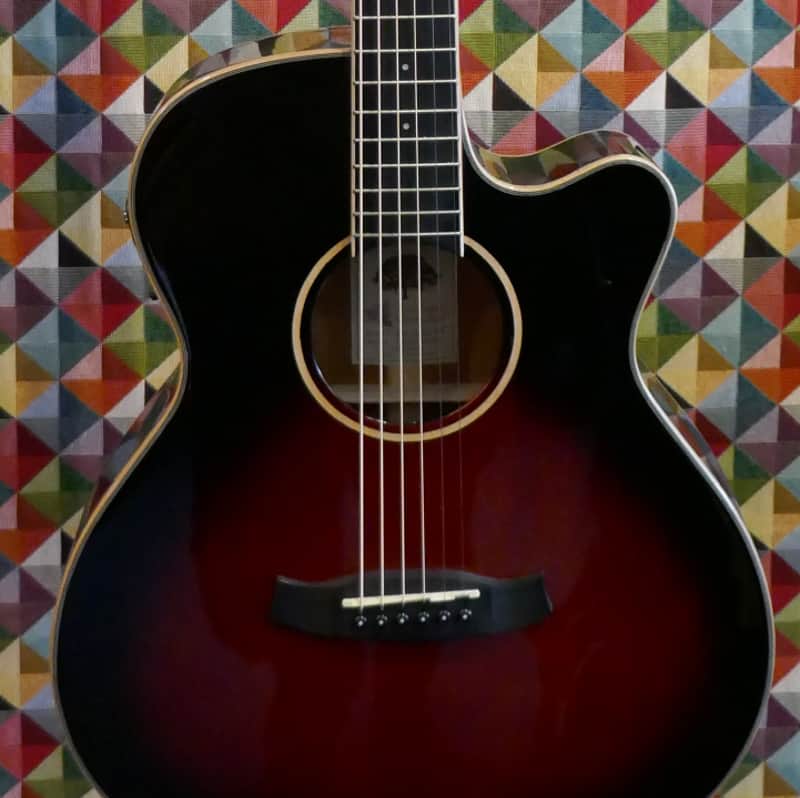 Tanglewood Winterleaf TW4 Thinline