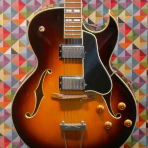 Eastman AR 372 CE - Sunburst