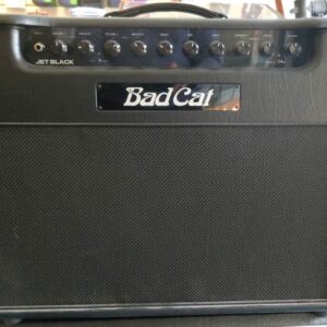 Black Cat Jet Black