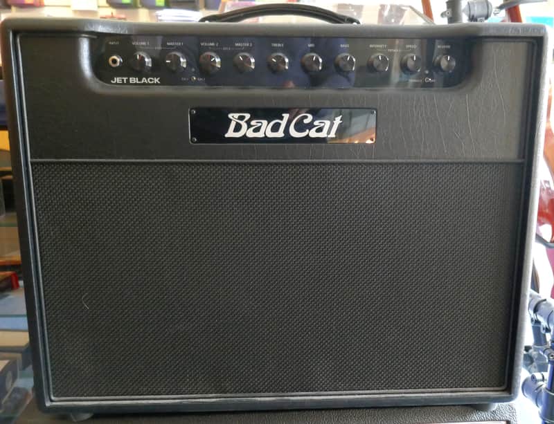 Black Cat Jet Black