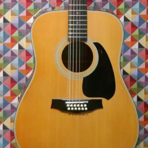 Ibanez V302 12 String